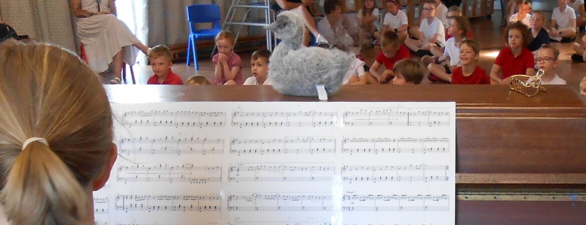 Sid the Cygnet