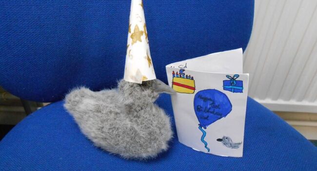 Sid the Cygnet Image