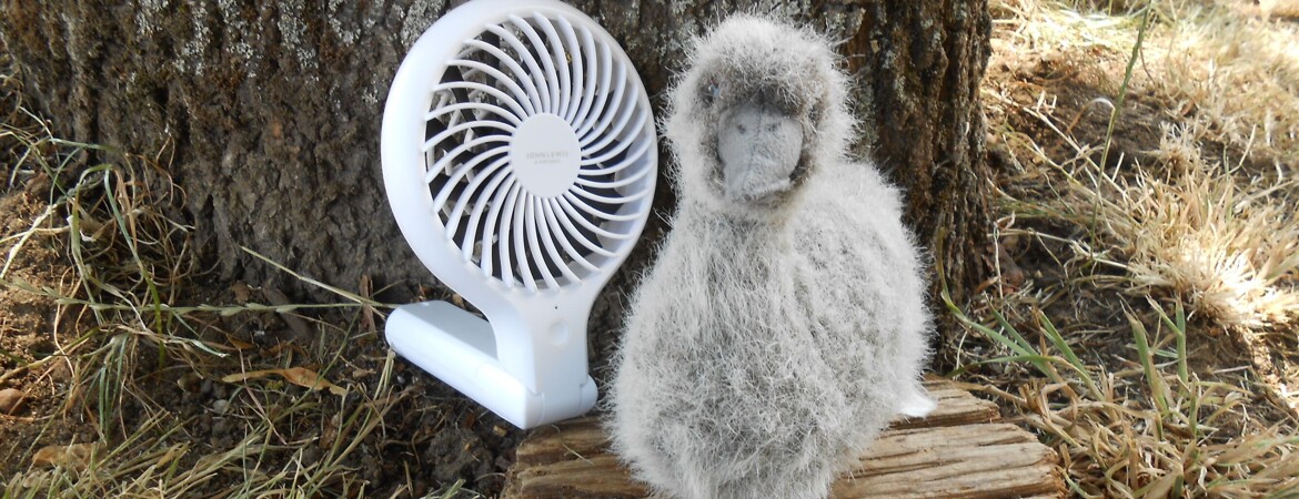 Sid the Cygnet