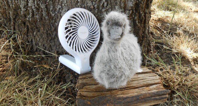 Sid the Cygnet Image
