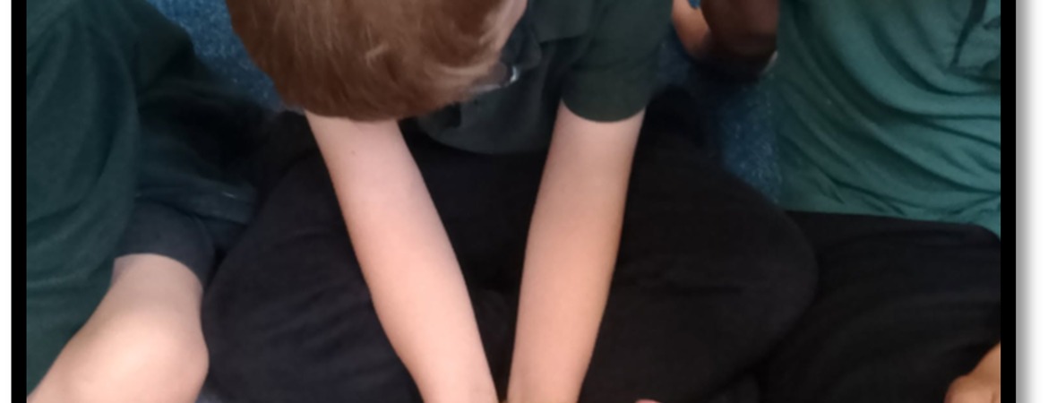 Chicks in Year 2