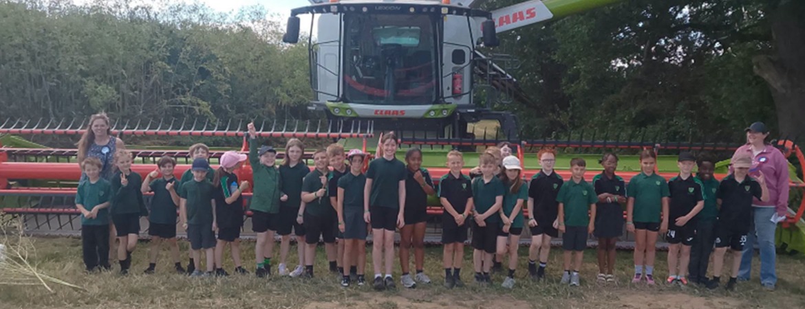 Year 4 at Home Farm, Nacton