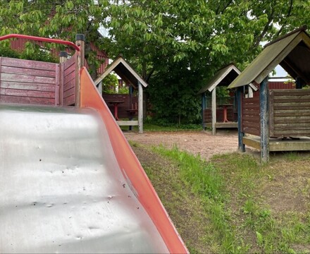 Image (5)