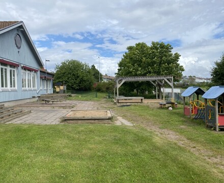 Image (11)