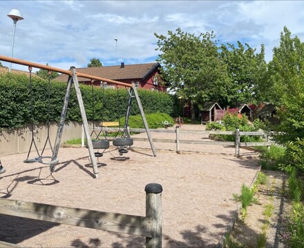 Image (13)