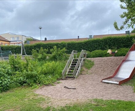 Image (3)