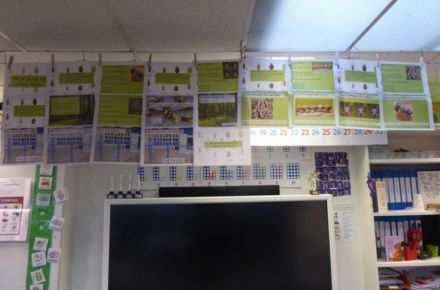 YR Scientific thinking. Green posters.