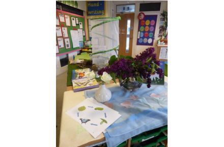 Y1 Understanding the world. Table display.