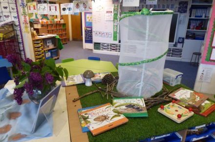 Y1 Understanding the World. Table display showing netting.