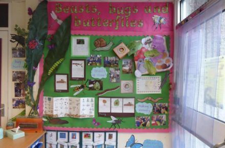 Y1 Understanding the World. Beasts, bug and butterflies poster.
