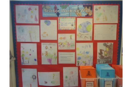 Y1 Science working wall. Red poster.