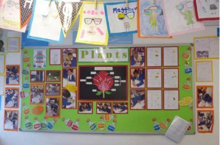 Y5 Science Plants. Green poster.