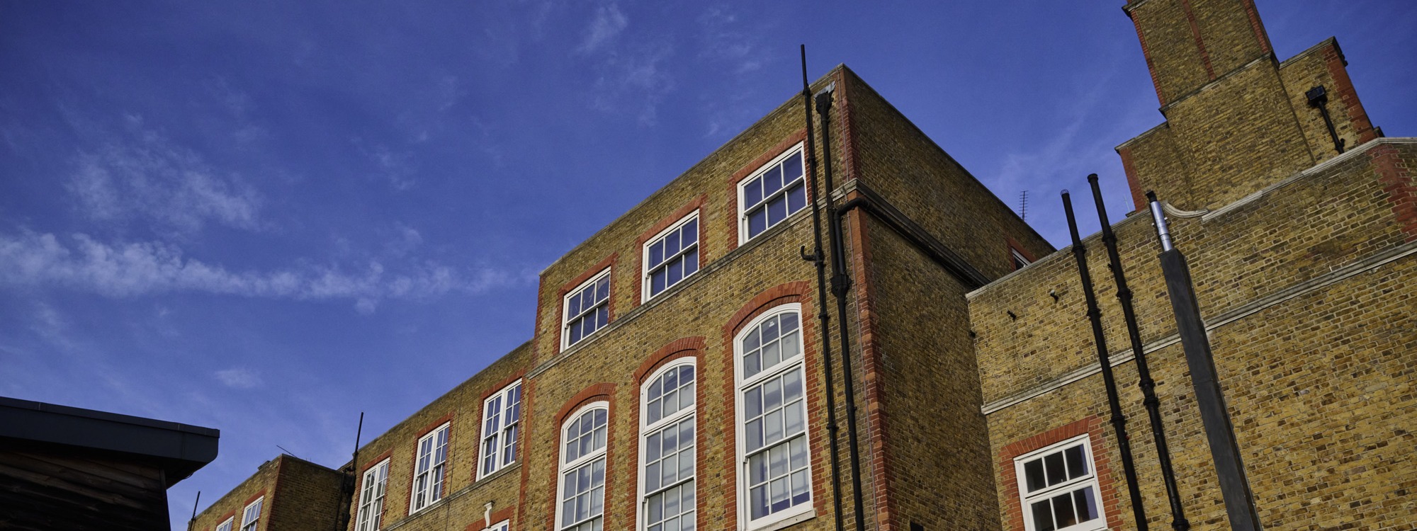 Header Image 1