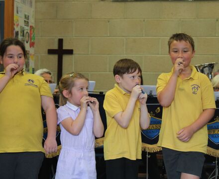 IMG 1135 Copy
