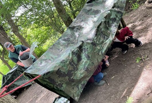 IMG 1678