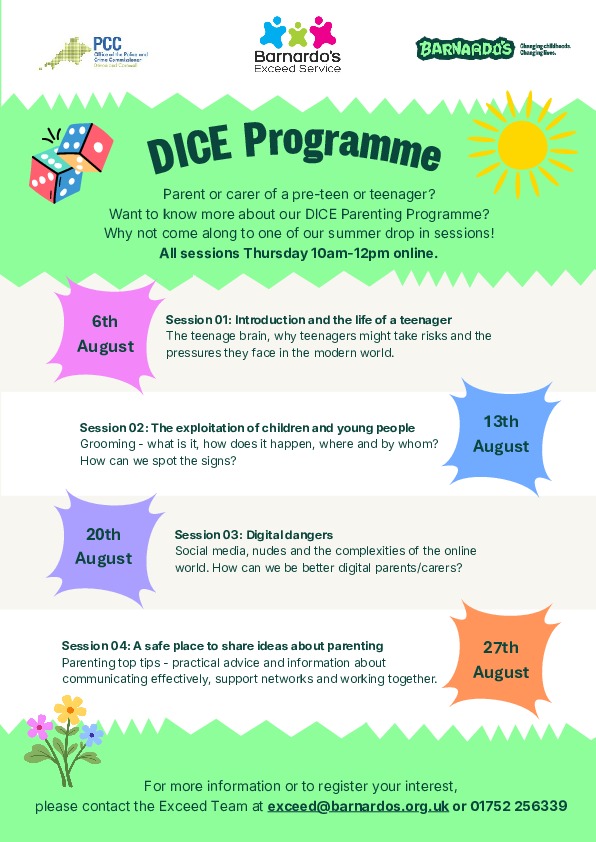Dice summer programme online drop ins