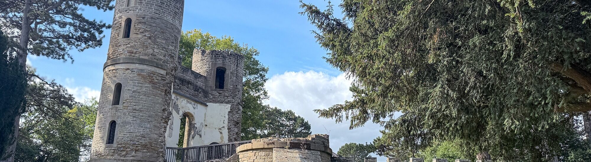 Header Image 1