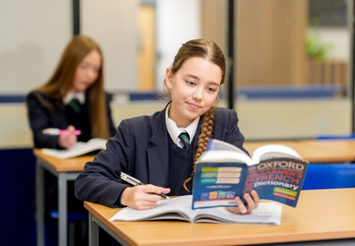 Modern Languages Image