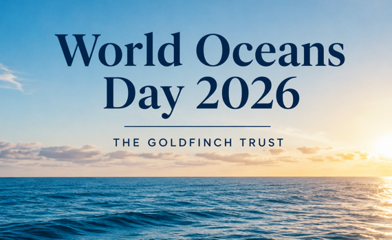 World Oceans Day 2026