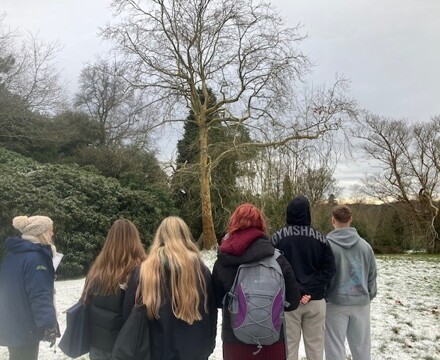Wakehurst yr13 trip 6126 2