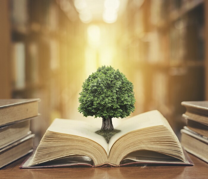 Citizenship & Religious Education (CRE) Image