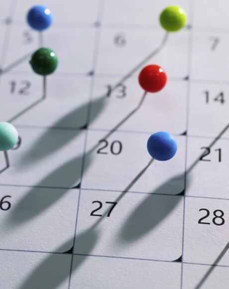Back to School Arrangements - September 2026