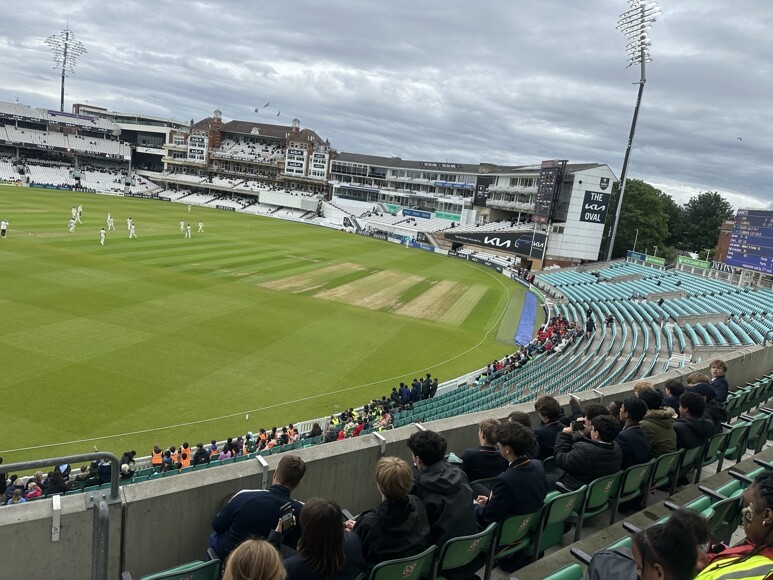 Cricket (2)