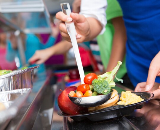 Catering Information Image