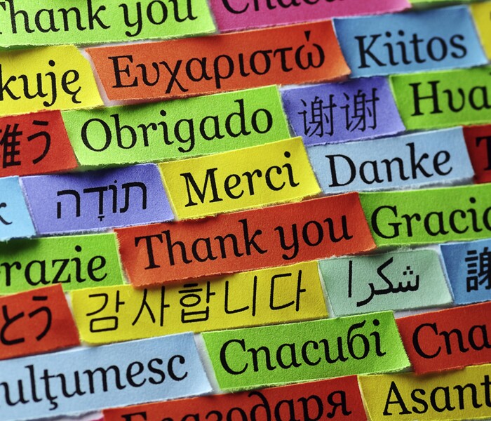 Modern Foreign Language Image