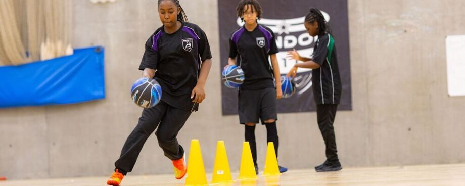 Basketball Enrichment