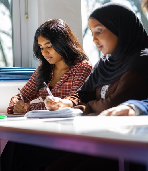 Geography at Michaela Image