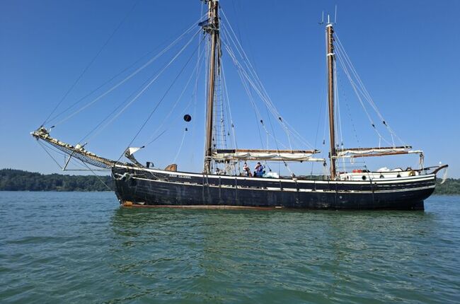 Cirdan Trust Full Report Image