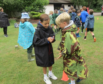 IMG 0650