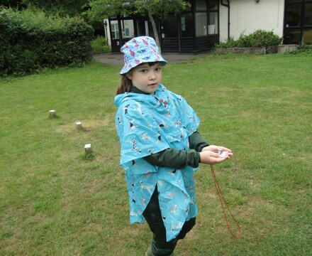 IMG 0651
