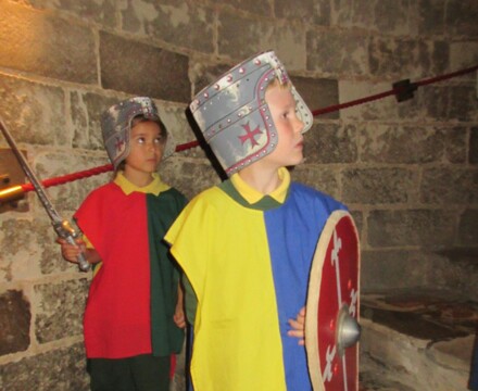 IMG 0781