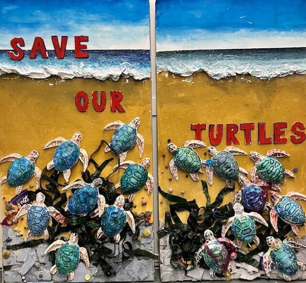 Save our Turtles