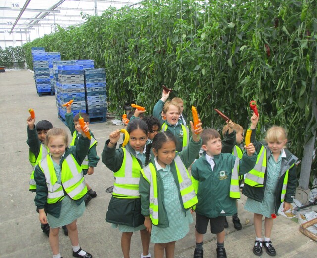 Owls visit Abbey Produce Image