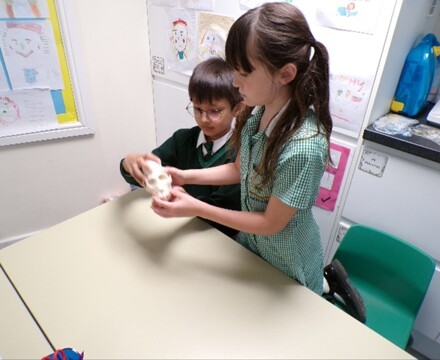 Picture1