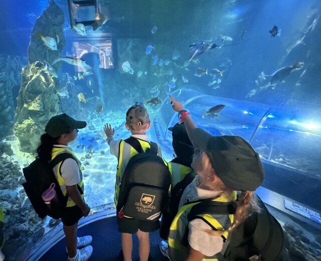 Year 1 Southend Trip Image
