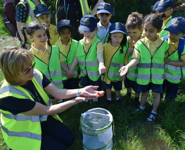 EYFS release their Butterflies Image