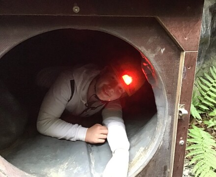 Picture4