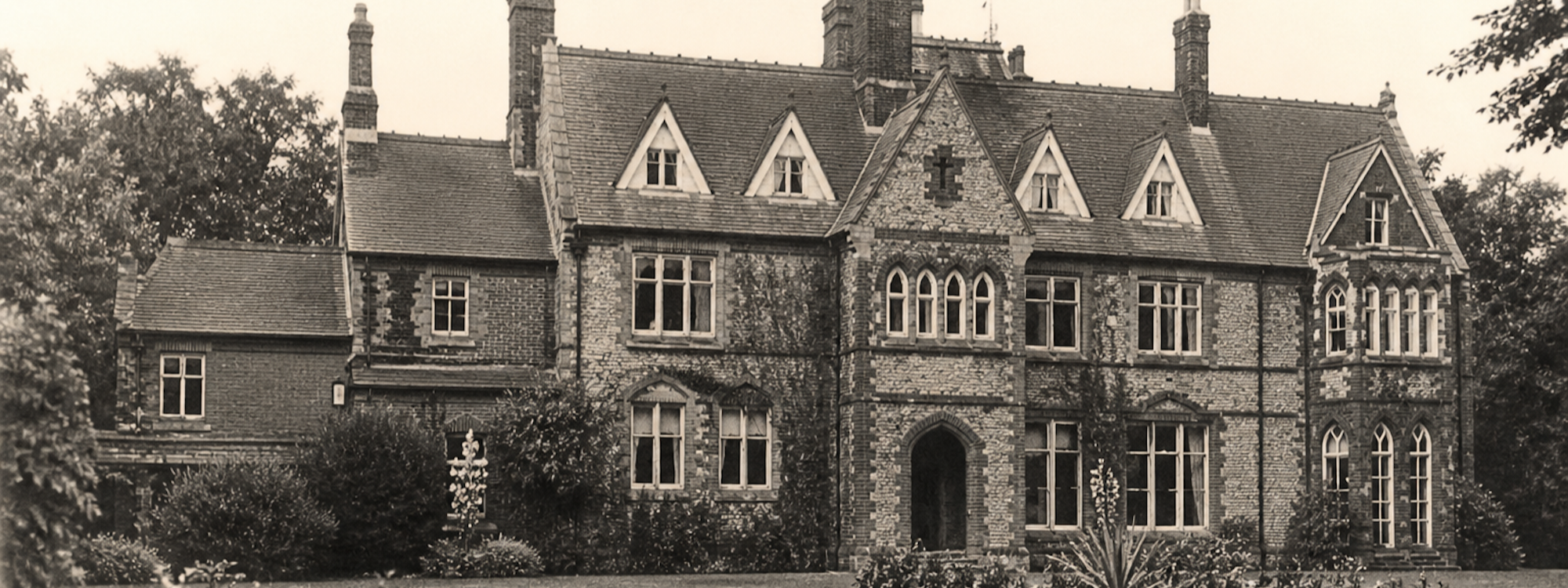 Header Image 1