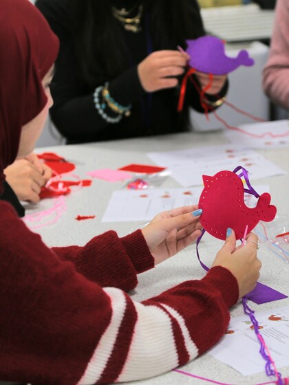 Enrichment Image