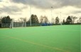Astro turf