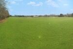 Grass fields