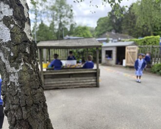 School Dinners