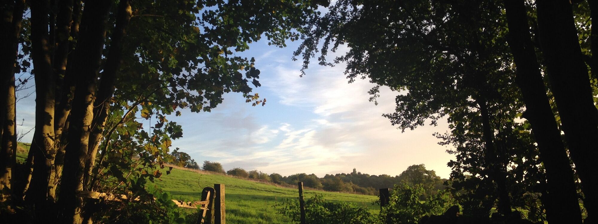 Header Image 1