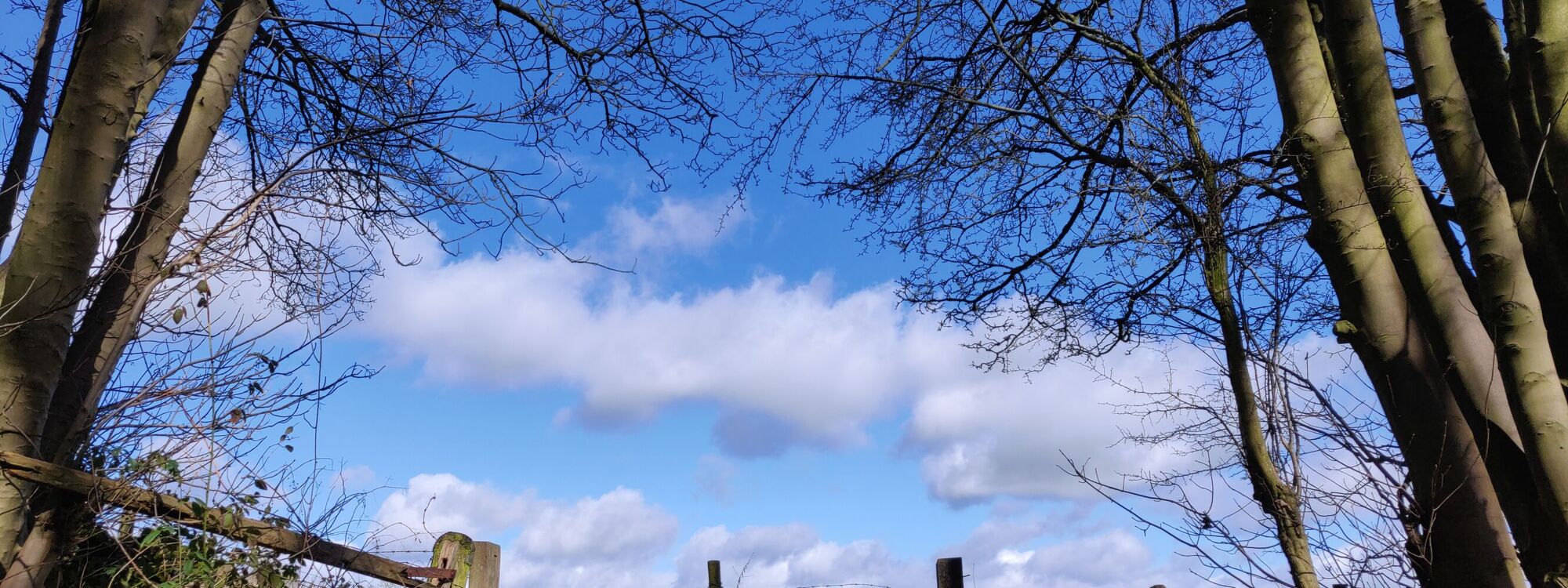 Header Image 1